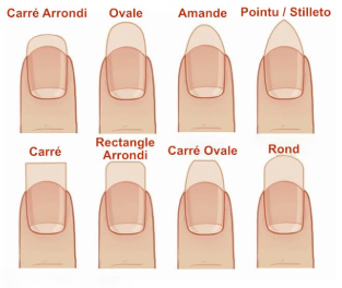 Formes ongles guide style de vie amande coffin carré